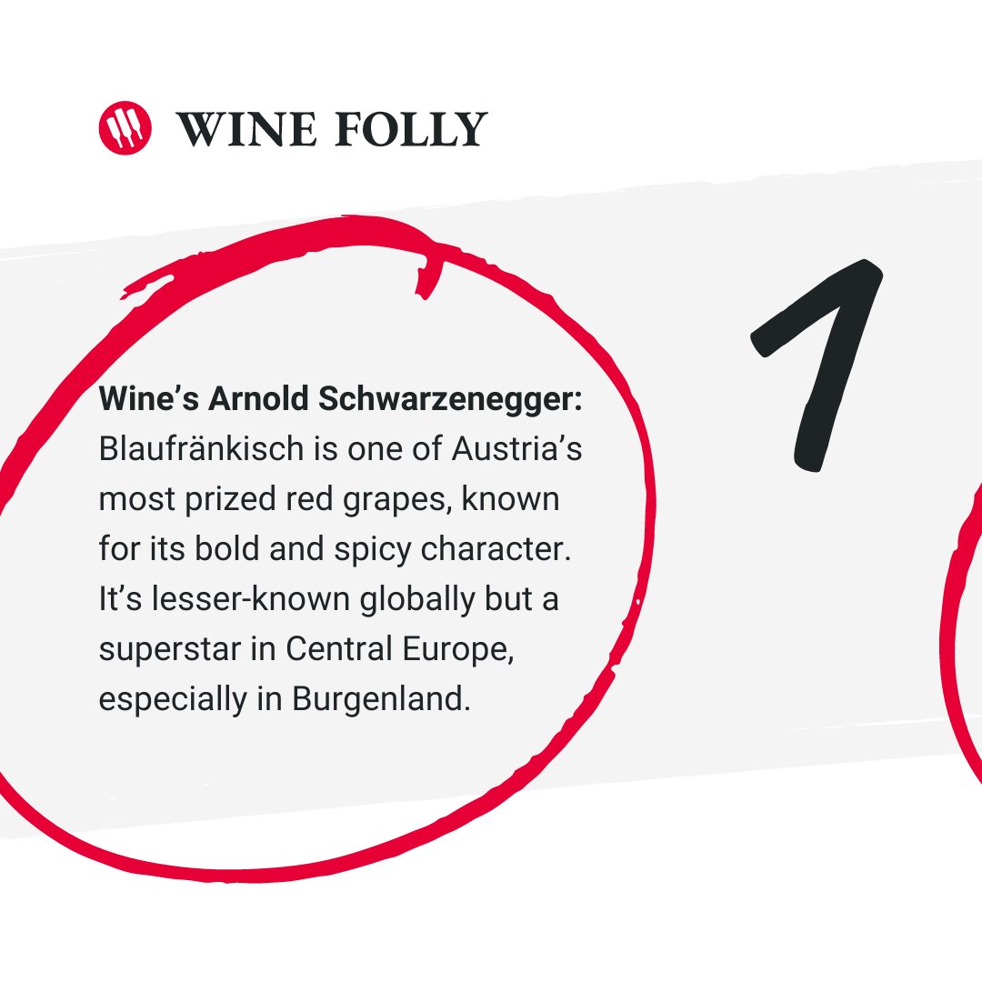 WineFolly's tweet image. 🍇  Meet Blaufränkisch, Austria’s spicy red gem! 🍇🌶️ With bold black pepper notes, vibrant acidity, and rich berry flavors, this grape is perfect for adventurous wine lovers. 

🎯 Learn more at winefolly.com/grapes/blaufra…

#blaufränkisch #wine