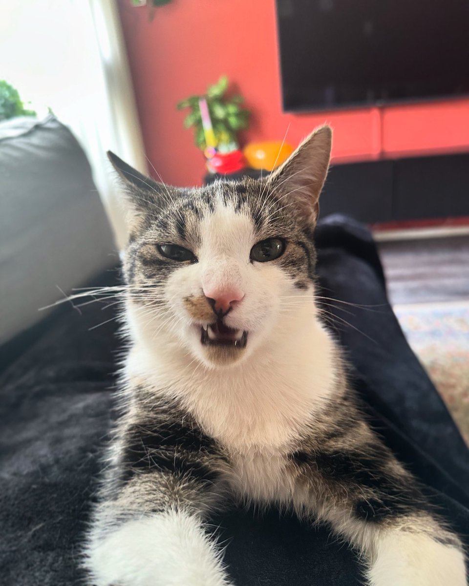 Josan✨ tweet media