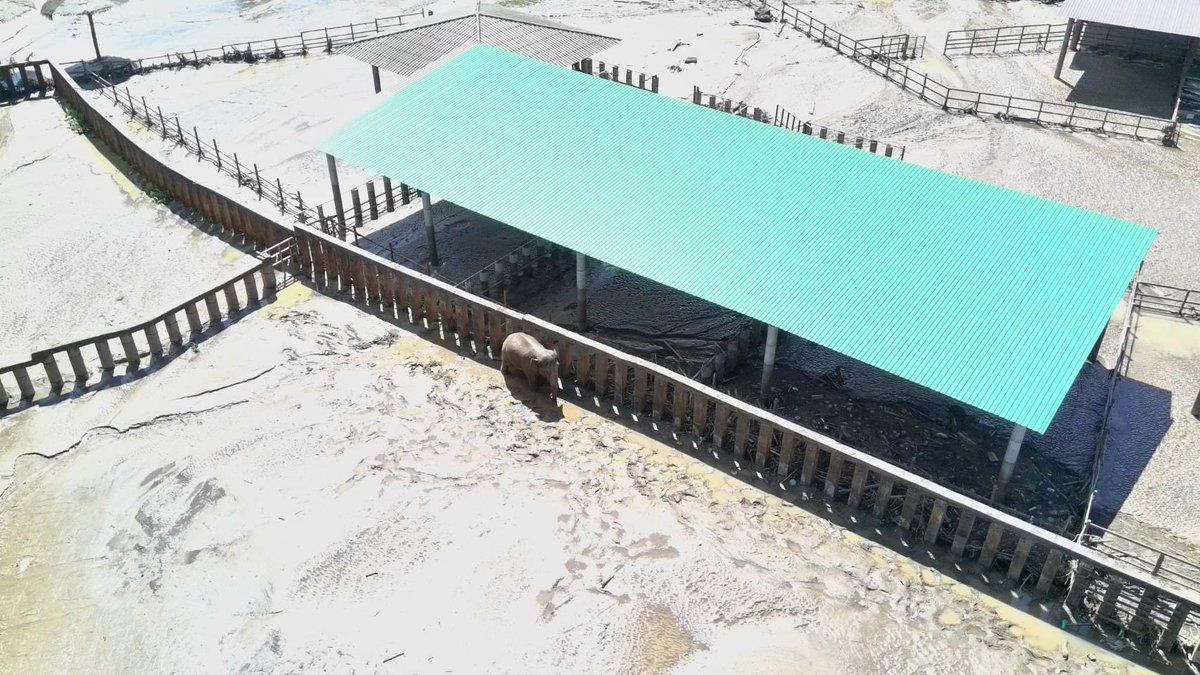 Marumaruu tweet media