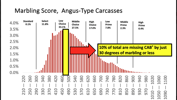 feedlotmagazine's tweet image. Inspection of the 2023 data on more than 2 million carcasses reveals that 10% of the total, measured carcasses fell within just 30 marbling #degrees, below the required “Modest 00” #marbling #score, the minimum #requirement for #CAB certification.

feedlotmagazine.com/news/cab-insid…