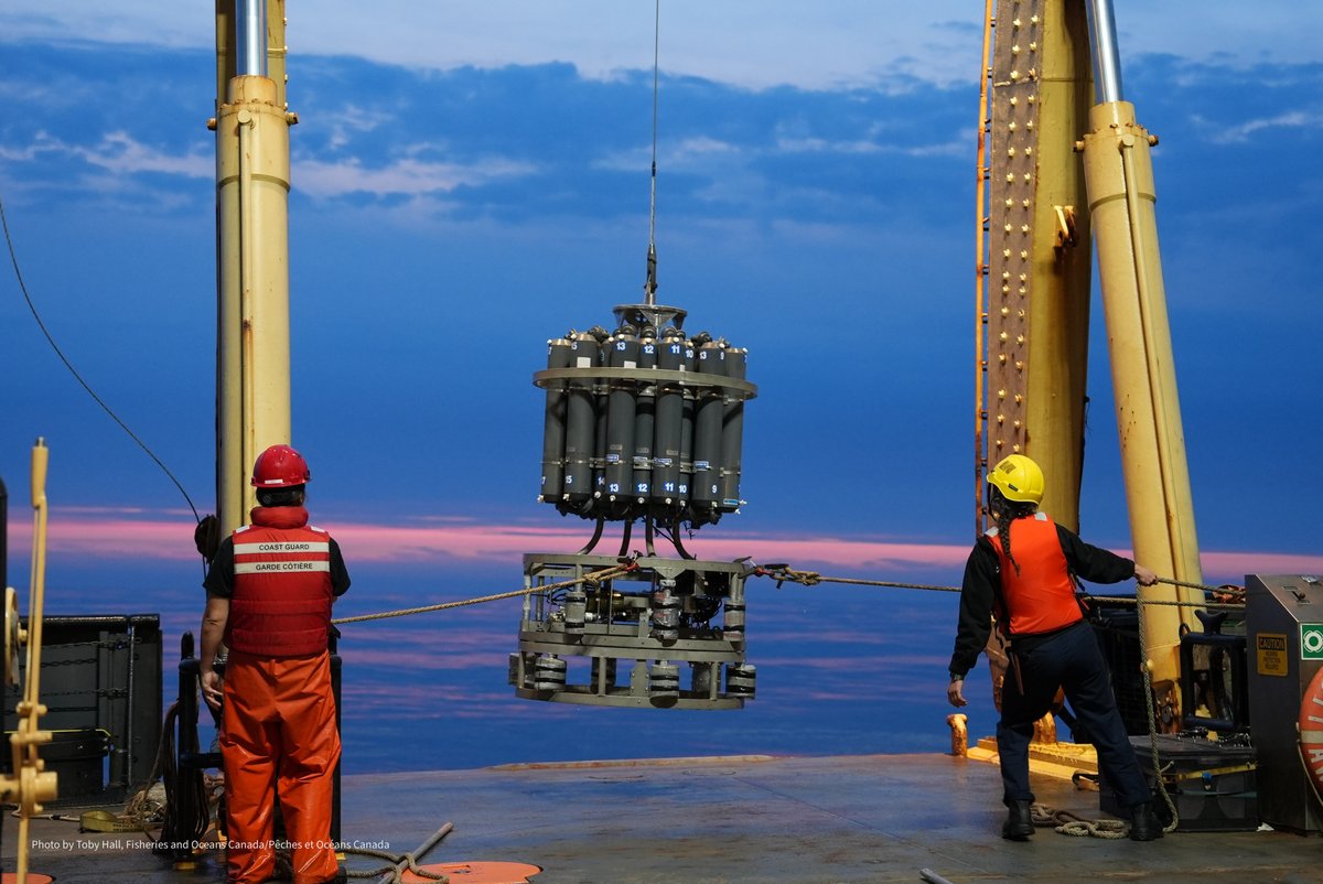 Hakai Institute tweet media