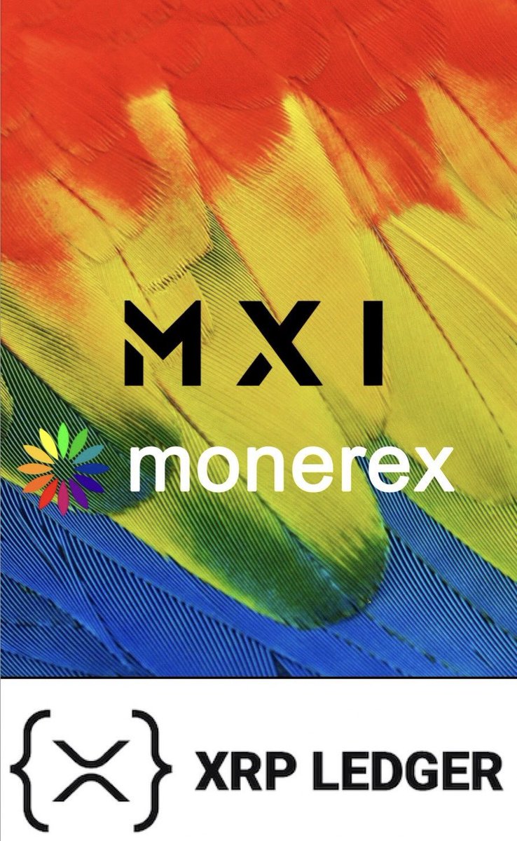 CryptoBULLITT's tweet photo. I just purchased another BIG bag of $MXI ! 💰💰💰
#Monerex 🤝 #Ripple 👀
🔥🔥🔥🔥🔥🔥🔥🔥🔥🔥🔥
@MonerexOfficial #Web3 #XRPL $XRP #XRP https://t.co/IyrX0kdpo4