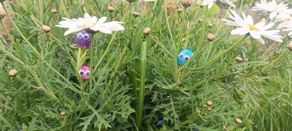 Look! I found Toupa's in our garden. These little critters appear where happiness blooms. Since the #book launch, #books made their way to the US, Germany, South Africa, &amp; UK. Thank you dear readers! That is surely a reason to feel tons of happiness! 

#writerscommunity
#toupa