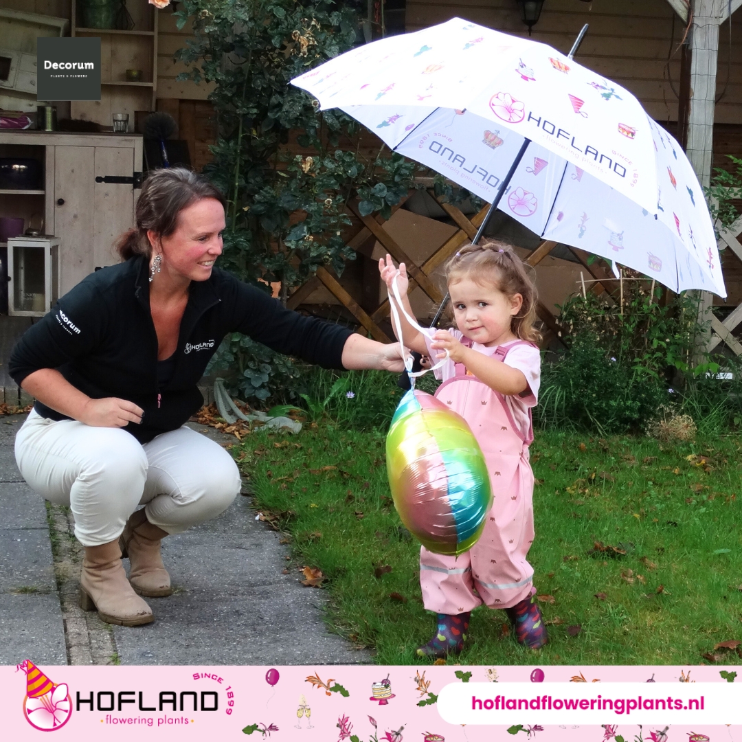 ☔ Een paraplu hoort echt bij de herfst vandaar dit cadeau voor ons team deze maand ☔. 

Hannah heeft de paraplu alvast uitgetest samen met tante Annemiek ☔💮🪴

#jubileumjaarhofland #herfst #plant #Schlumbergera #Lidcactus