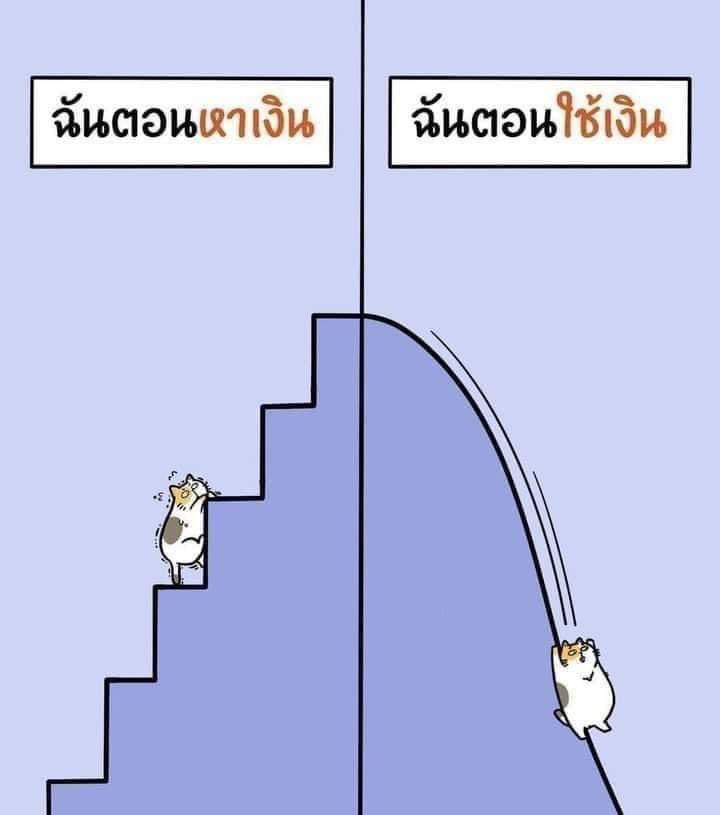 ช่างแม่ง🐰🏳️‍🌈 tweet media