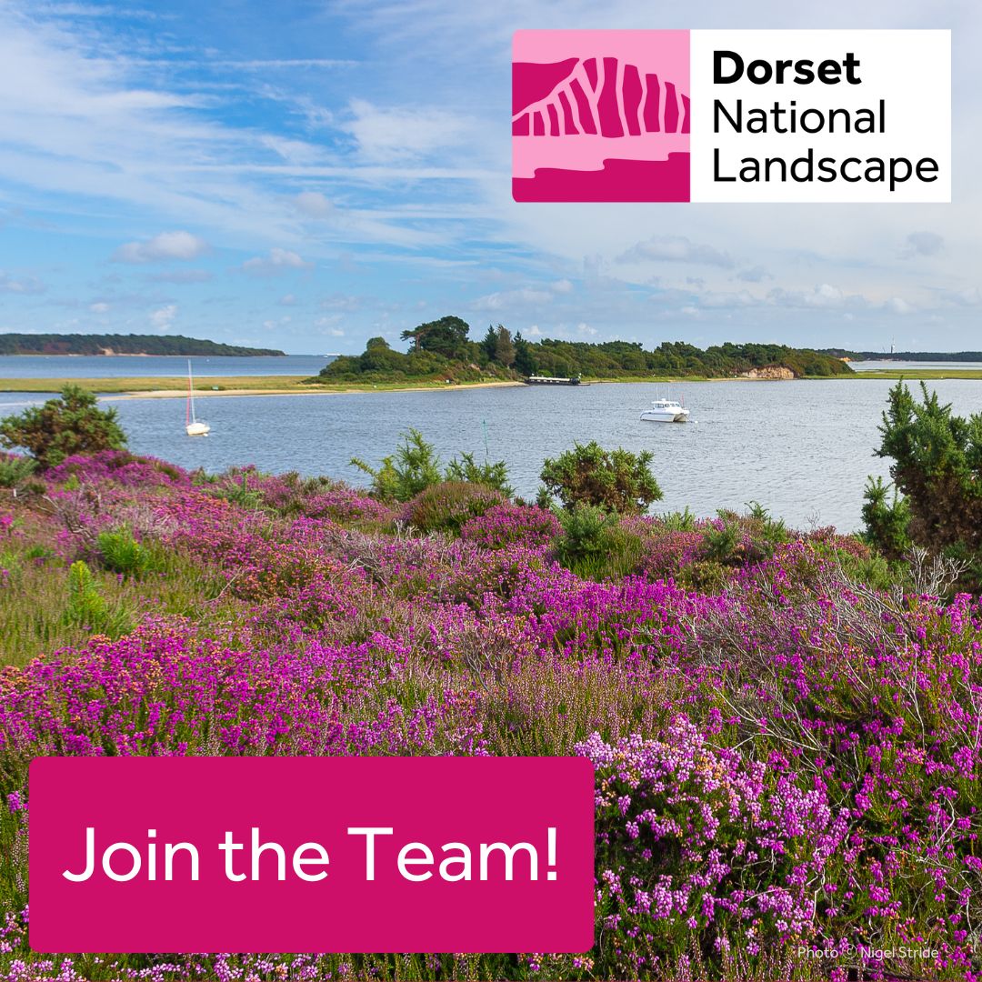 🌼Could you be our next Project Support Coordinator? If you're an amazing organiser, passionate about connecting people to nature and thrive in an energetic working environment, find out more 👉 dorset-nl.org.uk/news/were-recr… Deadline 27thOct #WorkForDorset #DreamJob #DorsetCouncilUK