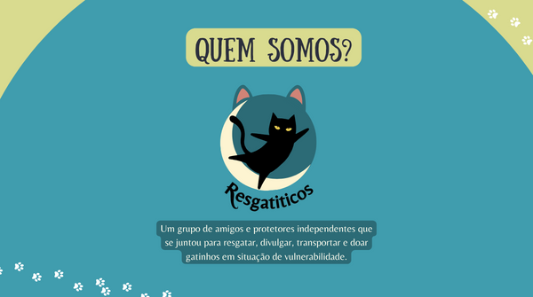 livs / Divulgadora de gatinhos tweet media