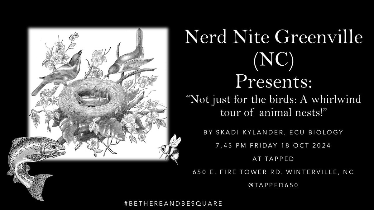 NerdNite252's tweet image. Howdy @GreenvilleNC! The October edition of @nerdnite is next Friday (18 Oct 2024) at @Tapped650. Please join us to learn about all kinds of animal nests with ECU biology grad student Skadi Kylander! #BeThereAndBeSquare 🪺
