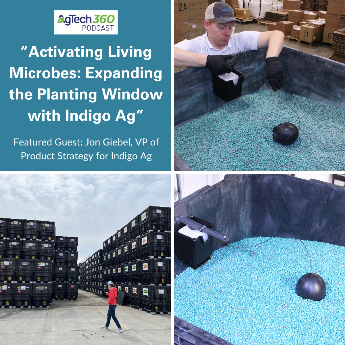 Invited <a href="/JonGiebel/">Jon Giebel</a> <a href="/Indigoag/">Indigo Ag</a>  to discuss the latest innovations in biological seed treatments on #AgTech360. He explained how changing the seed treatment process expands use opportunities in the field. 
Listen now: go.ncsu.edu/agtech360-indi…
#Microbes #Sustainability #Biologicals