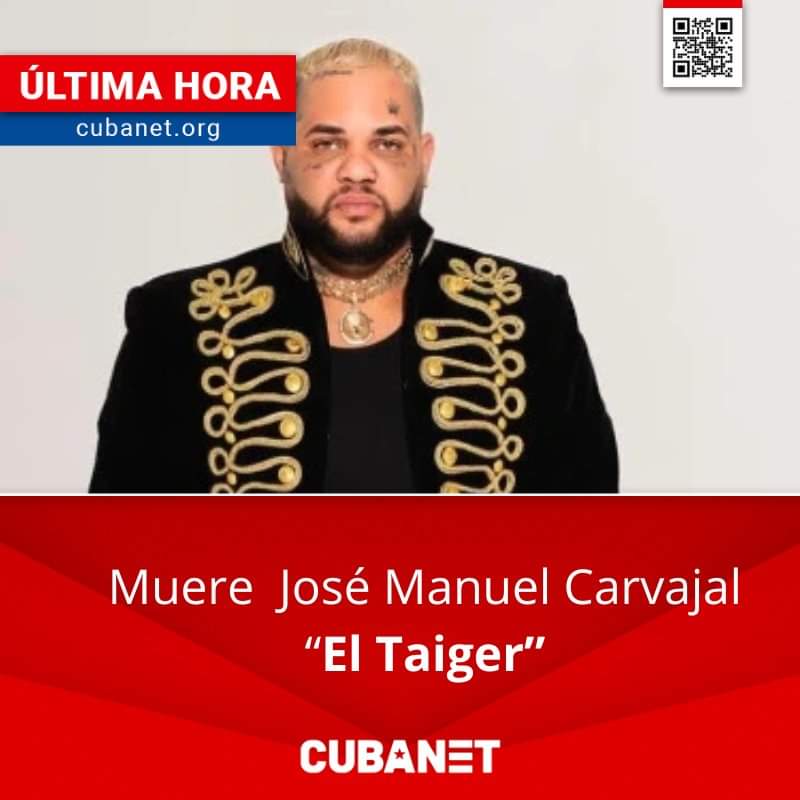 Frank El Makina tweet media