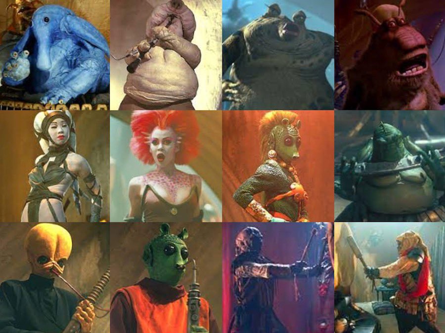 Mollie Damon tweet media