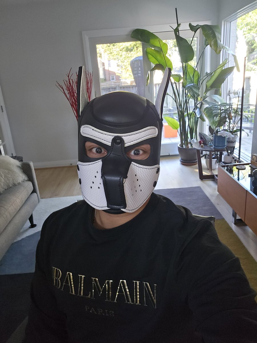 pupcaduceus's tweet photo. Happy Friday Jr., puppies! Awrf awrf. 🐶🐾
I can smell the weekend. This pup has to work today. Ugh 🥹 #pupplay #puppyplay #gaypup #gay #gaypuppy #gaypuppyplay #gaypupplay https://t.co/5eA0DNKDis