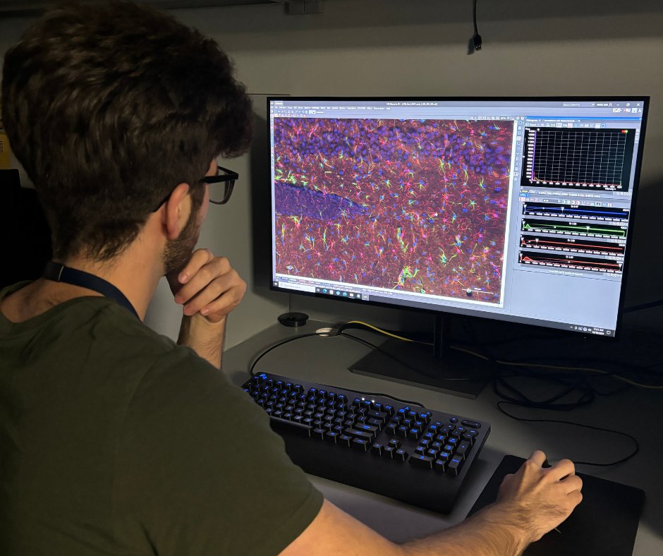 Today is World Mental Health Day! At MMRI, we take mental health seriously and a large portion of our research is based in neurocognitive disorders. The Kessinger Lab for example, researches post-traumatic stress disorder and its effects on the brain.💚#WMHD2024
