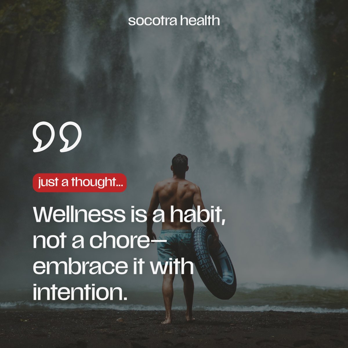 SocotraHealth's tweet photo. Every small step counts.

Make your wellness a daily ritual, and watch how the little changes add up.

#wellness #lifestyle #Health https://t.co/JCWlCYyGP4