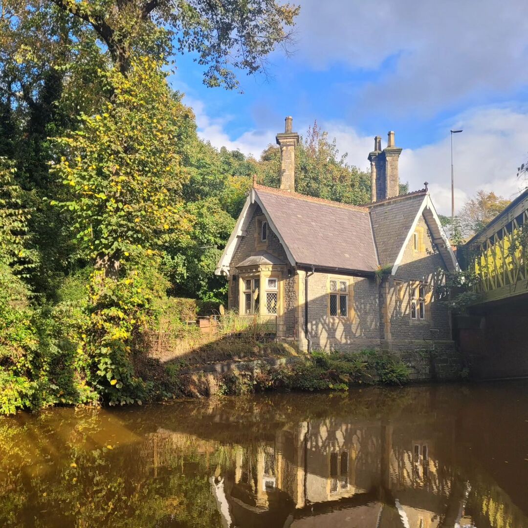 bec-views from my garden bench tweet media