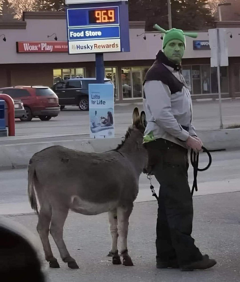 "La fiesta de Halloween se cancela"

Yo