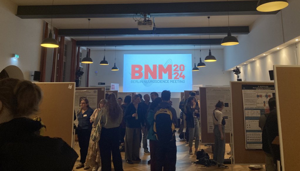 RachelLippert's tweet photo. The buzz of poster excitement at #BNM2024! Glad to have some #TeamNDF science represented! @ECN_Berlin @NeuroCureBerlin https://t.co/GI02CbubTu