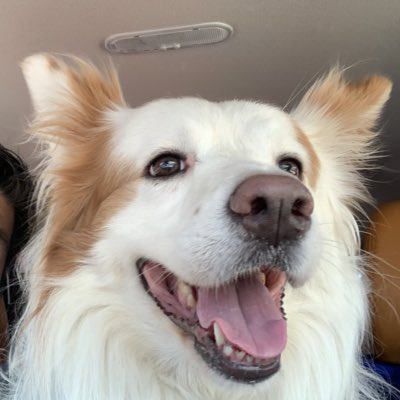 YNmok's tweet photo. #新しいプロフィール画像 https://t.co/FTCVmyY7A3