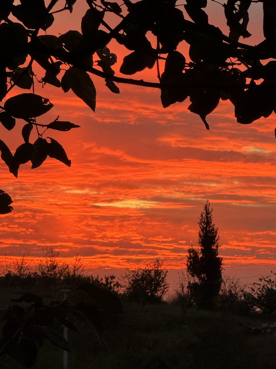 baksitki's tweet photo. Aynı gökyüzü
farklı hisler. https://t.co/Y1eQ45Hf6U