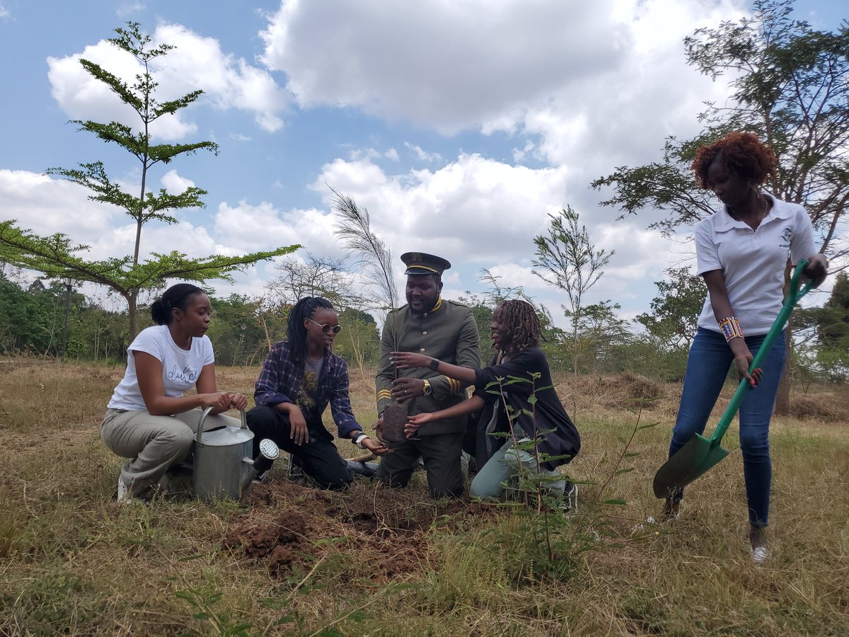 Captain Green Ke 👨‍✈️🌳🌳🇰🇪 tweet media