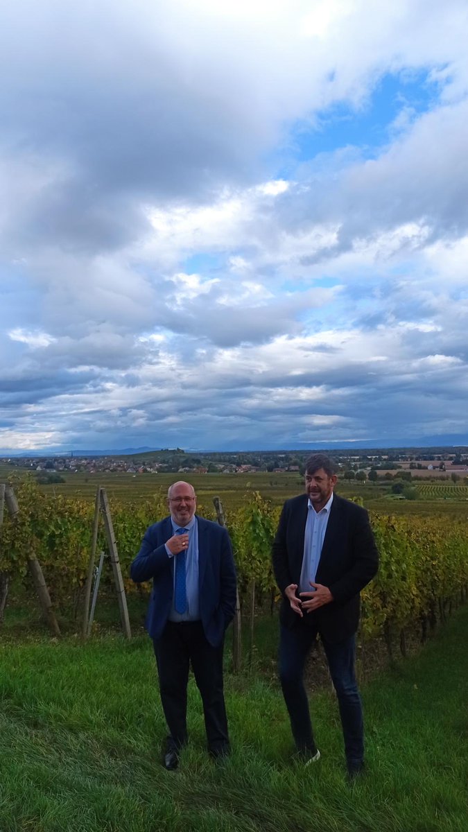 Merci à Jérôme Bauer, viticulteur, Pdt de la <a href="/cnaoc/">CNAOC</a> pour les vendanges tardives en #Alsace 🍇 Avec ⁦<a href="/EricSargiacomo/">Eric Sargiacomo</a>⁩ et de nombreux collègues 🇪🇺 🇫🇷pour échanger : transmission d’exploitation, santé, filières et IGP .. sans oublier de goûter 🍷… avec modération bien sûr !