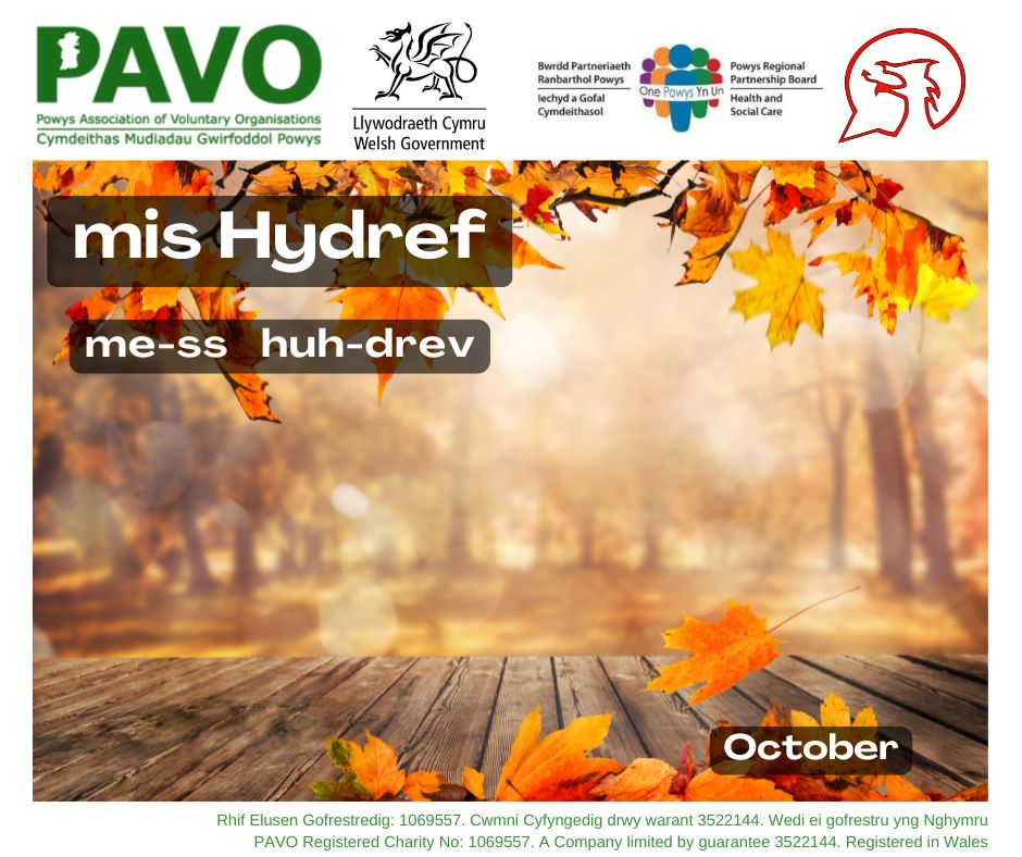 Prynhawn da! Dyma ymadroddiad yr wythnos hon - mis Hydref!
Here's this week's phrase - October!
#ycynnigrhagweithiolpowys #theactiveofferpowys #dysgucymraeg
