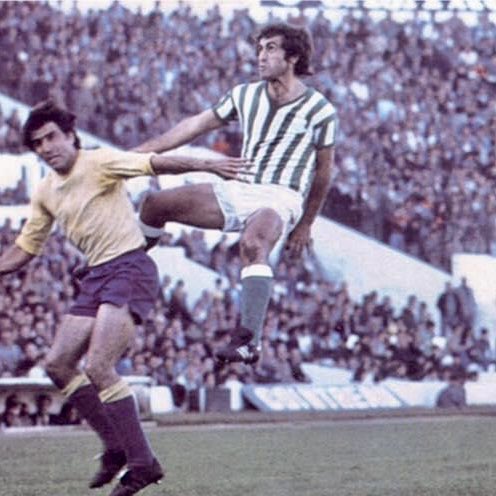 Bizcocho.
#RealBetis