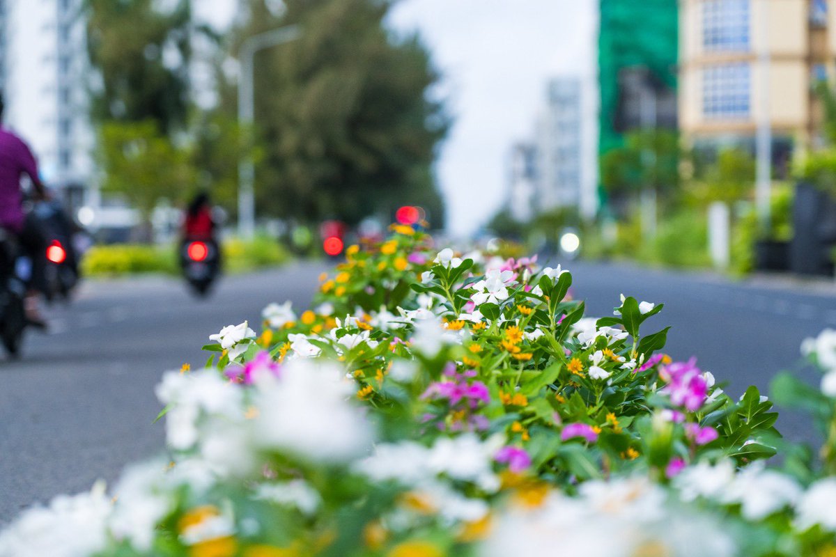 Fazul Rashyd tweet media