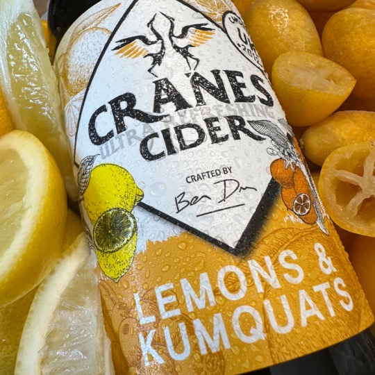 Lemons &amp; Kumquats - a unique and exotic blend ... don't knock it 'til you try it!🍋🍊#fruitcider #citruscider #drinks