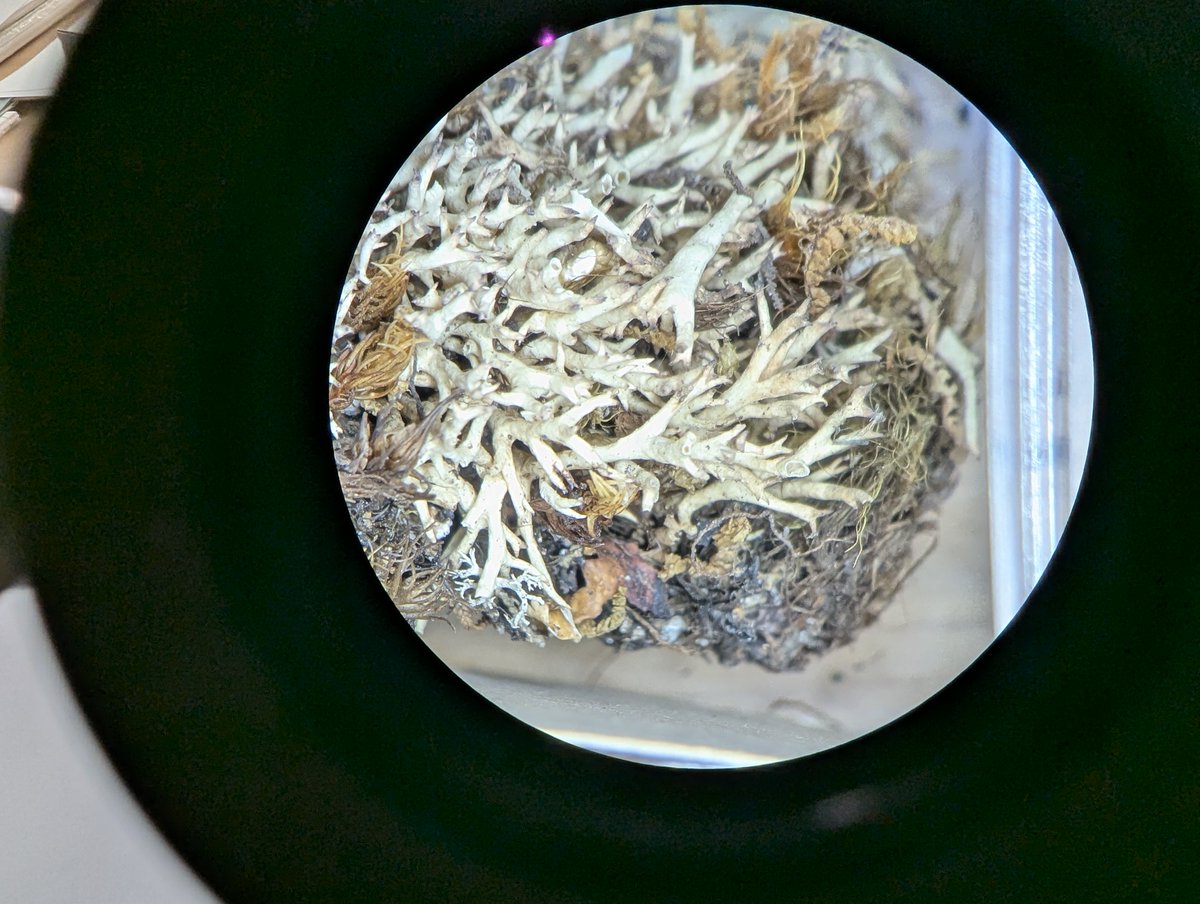 Fête de la science round 2. Visite des serres et de l'herbier sur le campus <a href="/UGrenobleAlpes/">Université Grenoble Alpes</a>.
On vous dit à l'année prochaine pour une nouvelle édition d'#EclatsDeSciences 🧪