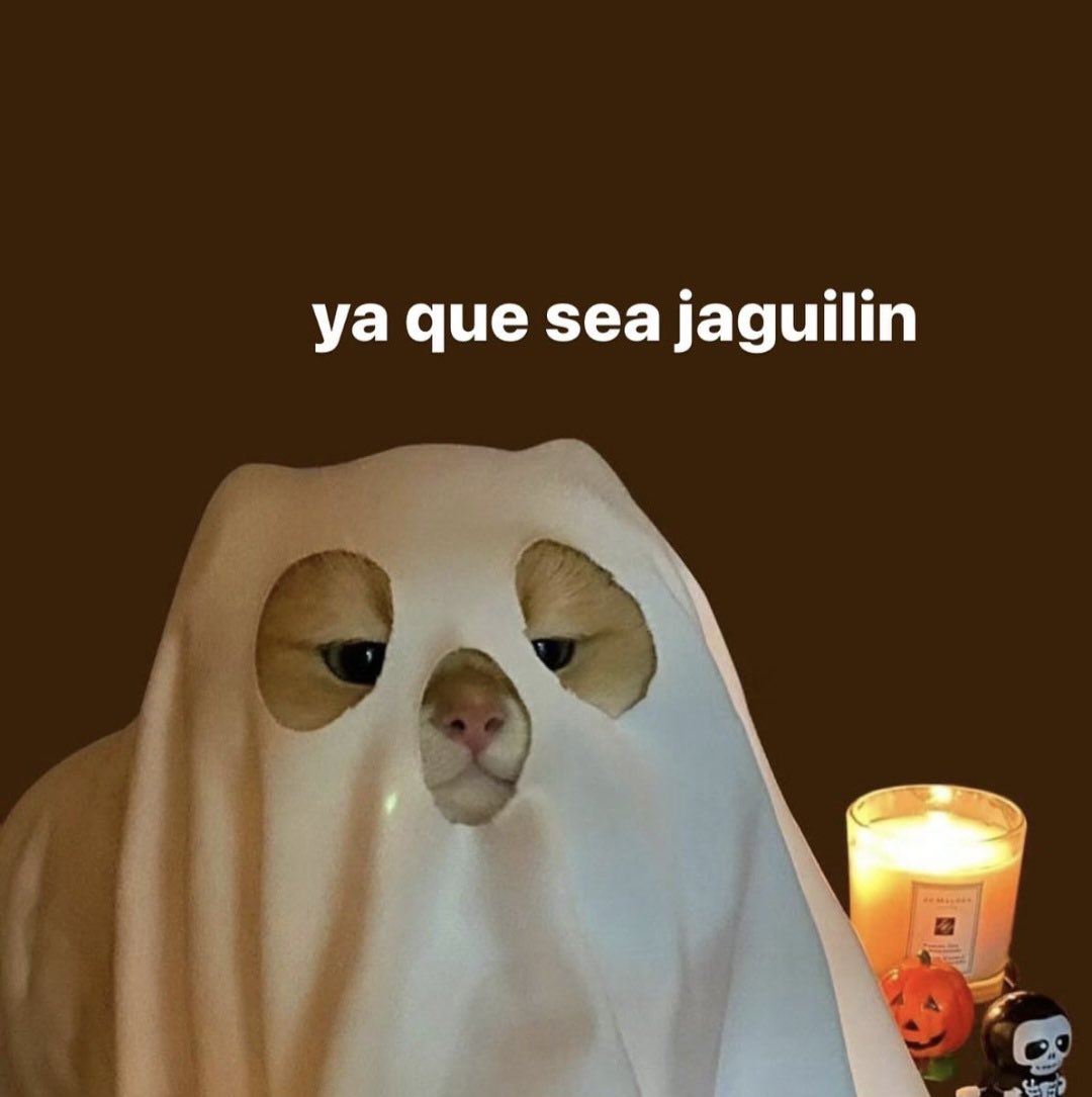 elrafa8a_'s tweet image. 