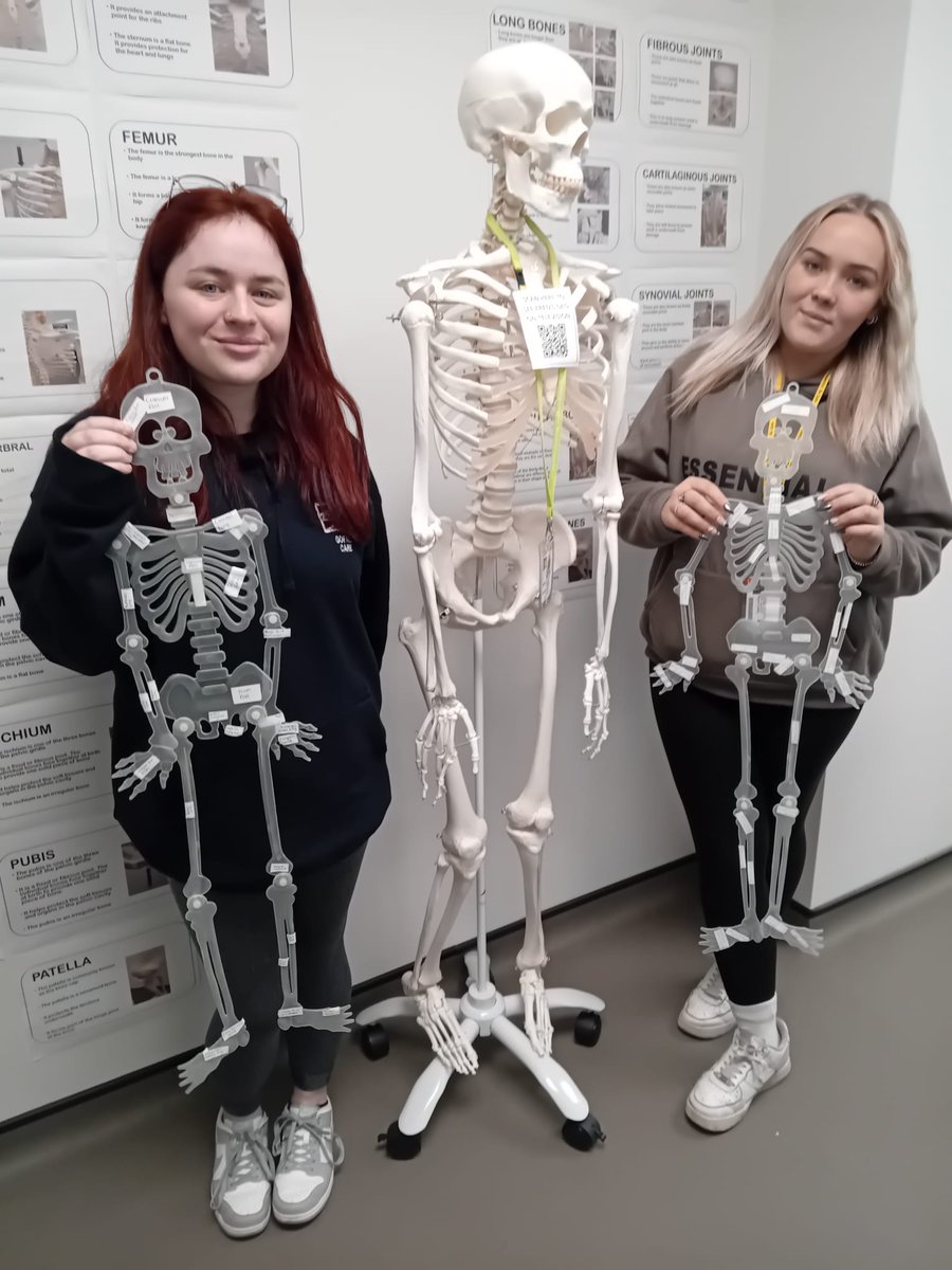 Always enjoy teaching the bones &amp; joints at this Hallowe'en time of year. <a href="/coleggwent/">Coleg Gwent</a> learners showing off their labelled skeletons next to the real thing!