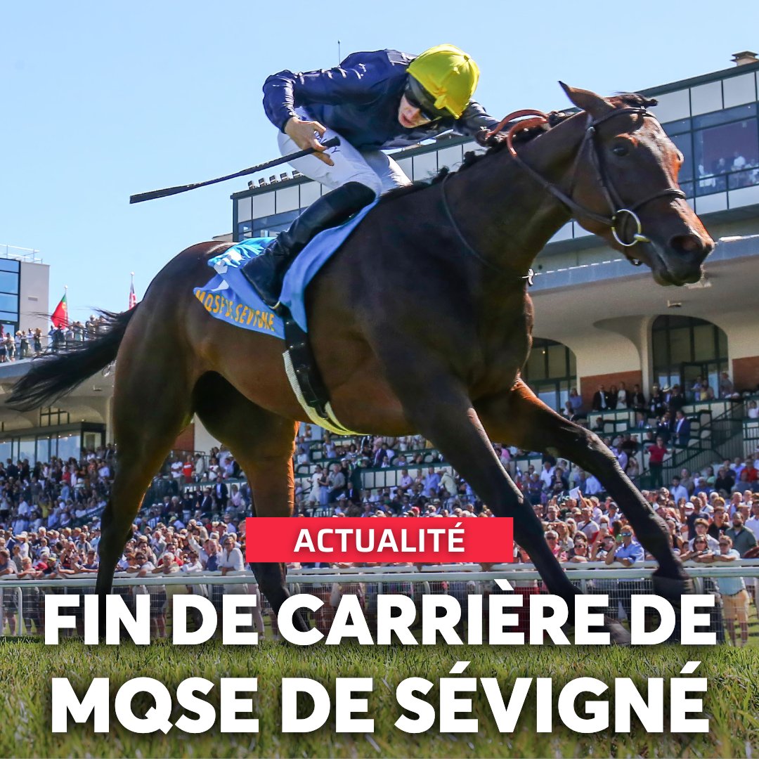 equidia's tweet photo. 🔚 Le @harasdemeautry l'a annoncé ce mercredi sur son compte X : Mqse de Sévigné est arrivée au haras pour entamer sa nouvelle vie de poulinière.

5⃣ Groupes 1 au palmarès
🏆🏆 Prix Rothschild 2023-2024
🏆🏆 @sumbe_fr Prix Jean Romanet 2023-2024
🏆 Prix d'Ispahan 2024