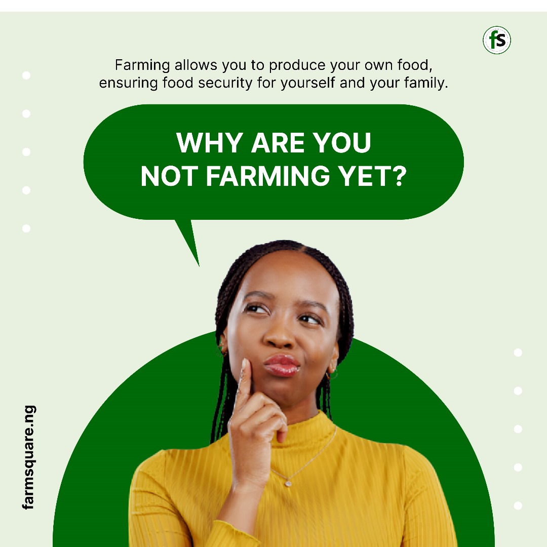 Why aren't you involved in farming? 

Farming allows you to produce your own food, ensuring food security for yourself and others.

#agriculture #farming #farmers #Nigeria #crops #agribusiness