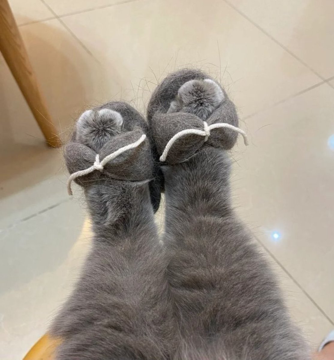 Stervende__'s tweet photo. با پشماش براش دمپایی درست کردن =)))))) https://t.co/pHJQcxU2qa