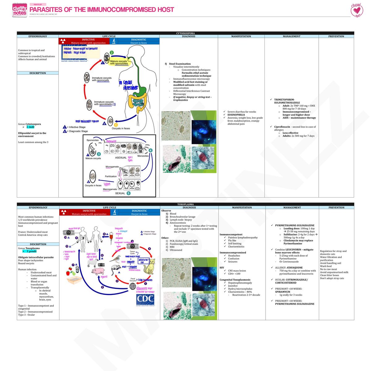 joietoyourworld's tweet photo. [PARA] Parasites of the Immunocompromised Host 🪱
#ChewyMDNotes https://t.co/F5cqZ41Ybd