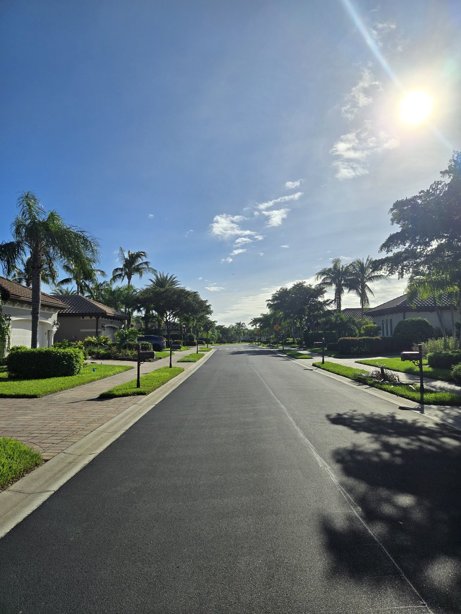 Milton next morning in Olde Cypress, Naples.  Very Lucky!