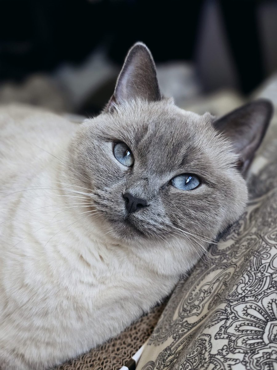 SuperKingAndy tweet media