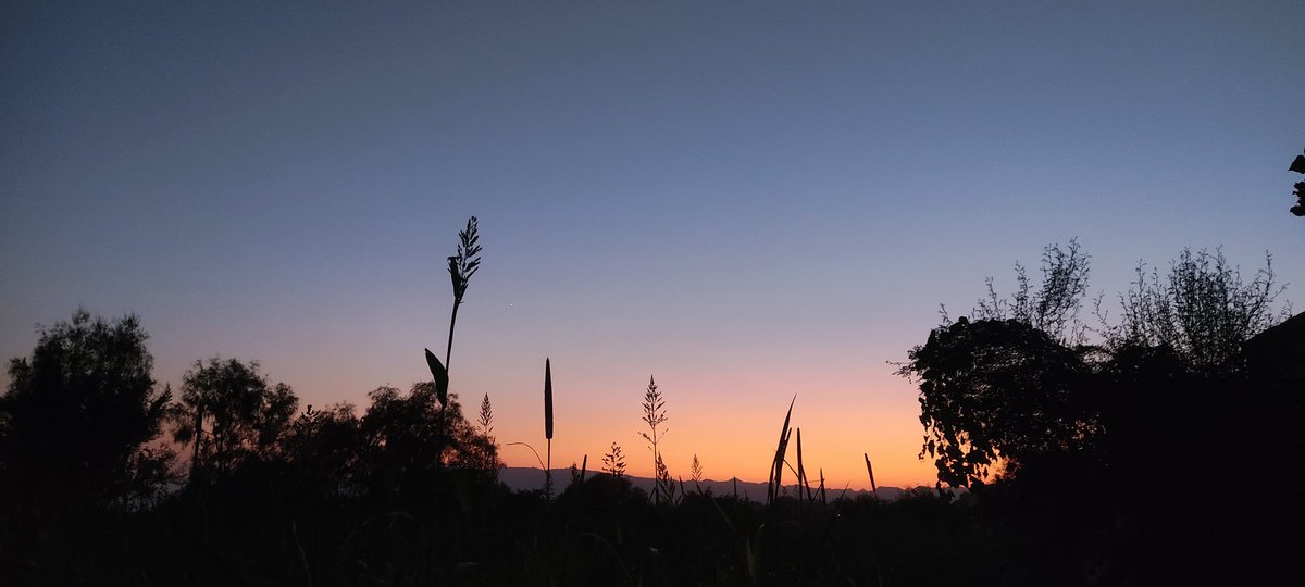 ShakeelktkKhan's tweet image. تیرے گاؤں کی شام کے منظر
بامِ دل پر ٹھہر کے دیکھیں گے

#VillagLife #Pind #MyVillage