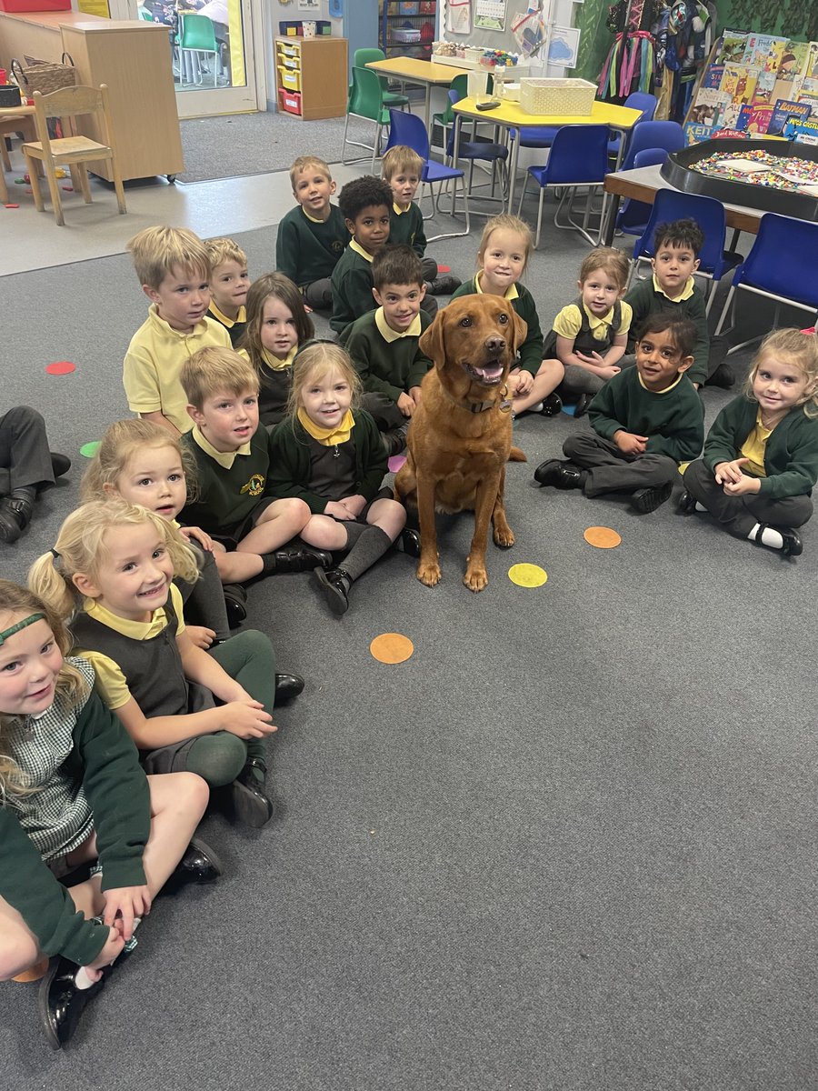 Doug sitting like a good boy with RS today. Not sure how he is progressing on phonics!