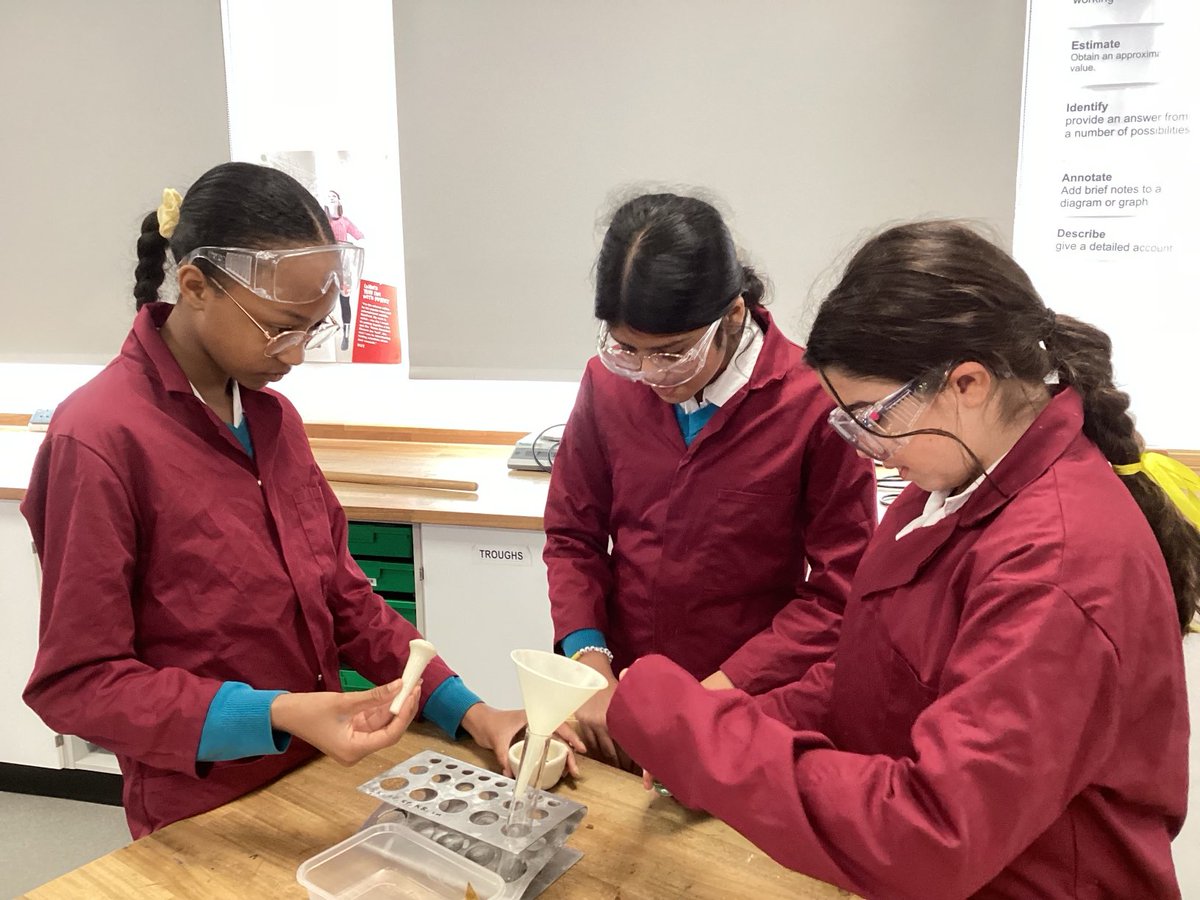 #BGSYear6 extracting DNA from kiwi #BGSScience