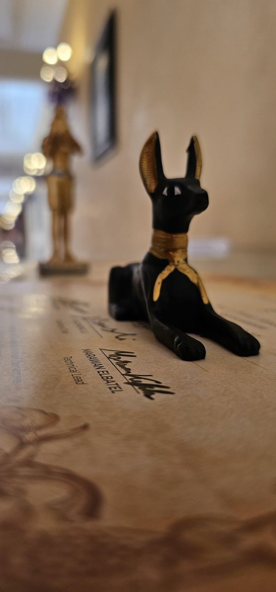 #MICCAI2024

✨Glad to see Thoth and Anubis journey from Egypt 🇪🇬 to Marrakech 🇲🇦! 

Congratulations to all winners 🎉