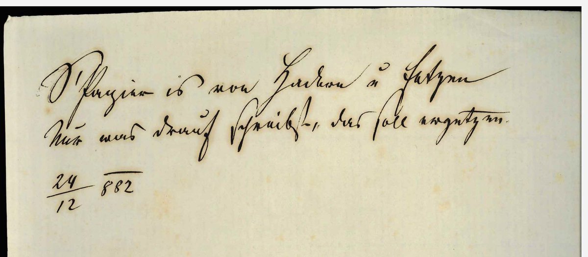 Erhofft man sich immer im Archiv: S‘Papier is von Hadern u(nd) Fetzen Nur was drauf schreibt, das soll ergetzen. 24.12.1882 . Benedikt von Hasslinger von Hasslingen