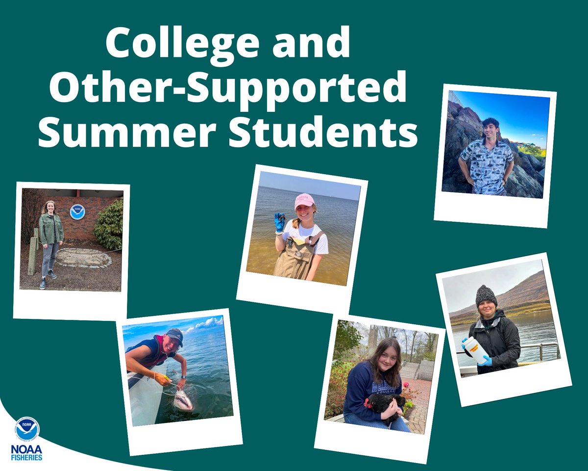 In addition to 50+ NOAA-supported students, we also mentored students through other college programs and professional orgs! These students worked on projects focused on #SciComm, fish ageing and condition, eDNA, #StockAssessments, more: bit.ly/3Nn3udW.