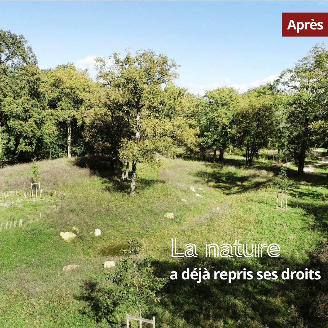 🌱Renaturation du parking de la forêt régionale de Saint-Eutrope (91)
🌳 Un an tout juste après le lancement du chantier, la nature a déjà repris ses droits pour le plus grand plaisir des Franciliens: la preuve en images!

#JeudiPhoto