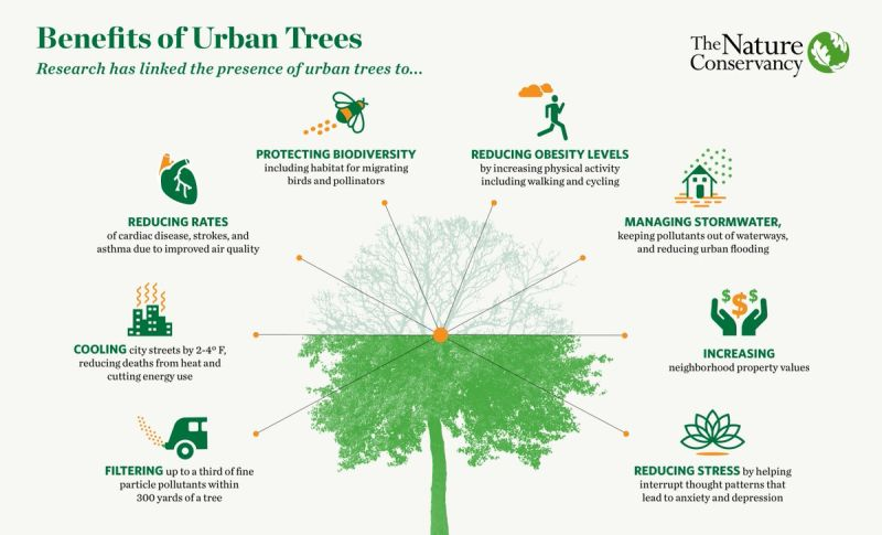 UN Biodiversity (@unbiodiversity) on Twitter photo This infographic by The Nature Conservancy showcases the numerous benefits of urban trees 🌳🏙
From protecting biodiversity to reducing stress, trees are essential for healthy and sustainable cities.
via <a href="/nature_org/">The Nature Conservancy</a> This infographic by The Nature Conservancy showcases the numerous benefits of urban trees 🌳🏙
From protecting biodiversity to reducing stress, trees are essential for healthy and sustainable cities.
via <a href="/nature_org/">The Nature Conservancy</a>