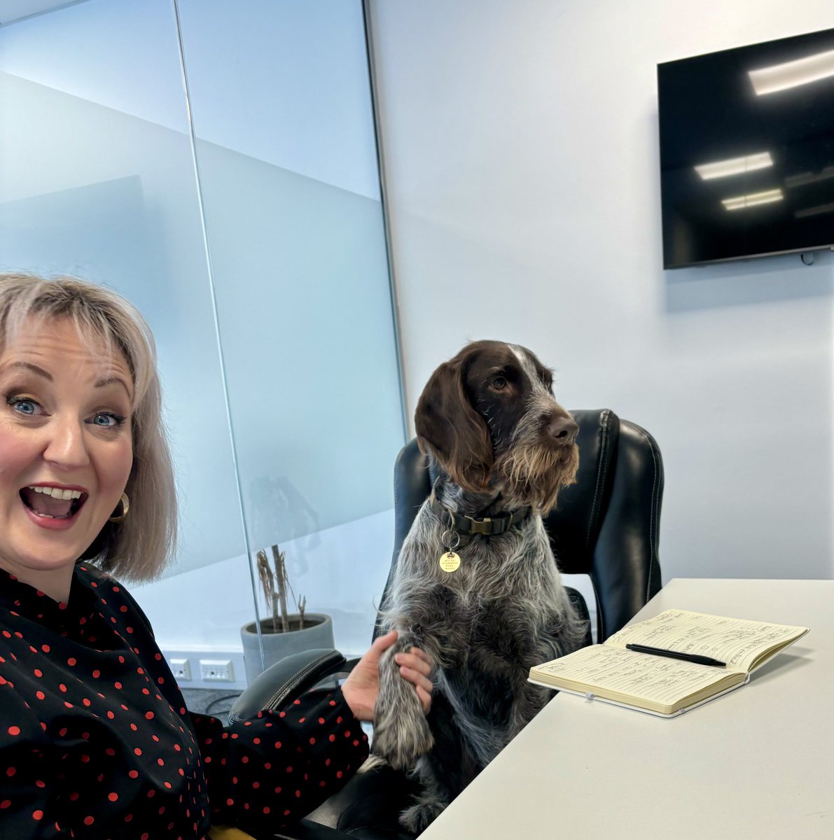 Jean Mills (@jeaniefm) on Twitter photo Well <a href="/HelenSmaf1982/">Helen Capiter</a> and I had a great meeting with <a href="/RecomSolutions/">Recom Solutions Ltd</a> today and Bailey, the handsome dog, joined us and was very attentive and smart. As was his owner.
<a href="/4EVERManchester/">Forever Manchester</a> - loving life and meetings especially where dogs join in. Well <a href="/HelenSmaf1982/">Helen Capiter</a> and I had a great meeting with <a href="/RecomSolutions/">Recom Solutions Ltd</a> today and Bailey, the handsome dog, joined us and was very attentive and smart. As was his owner.
<a href="/4EVERManchester/">Forever Manchester</a> - loving life and meetings especially where dogs join in.