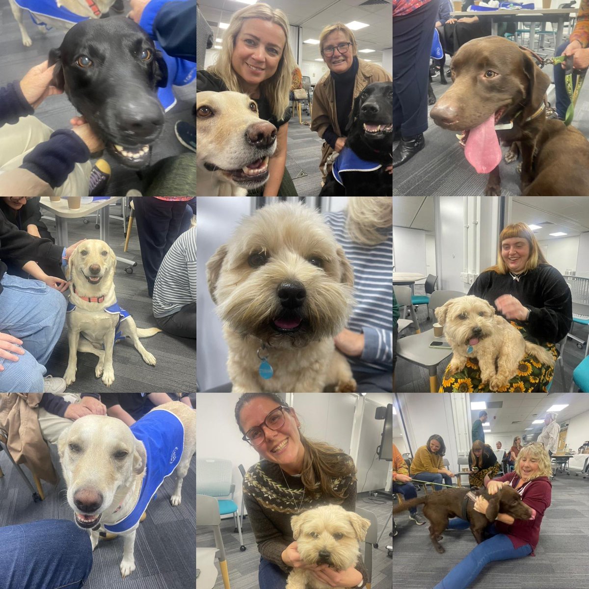 In honour of #WorldMentalHealthDay, BSMS hosted a special coffee morning joined by some furry friends 🐾Staff &amp; students took a break to enjoy coffee, relax, and spend time with the therapy dogs, offering a moment of calm and support for mental well-being. 🧠✨