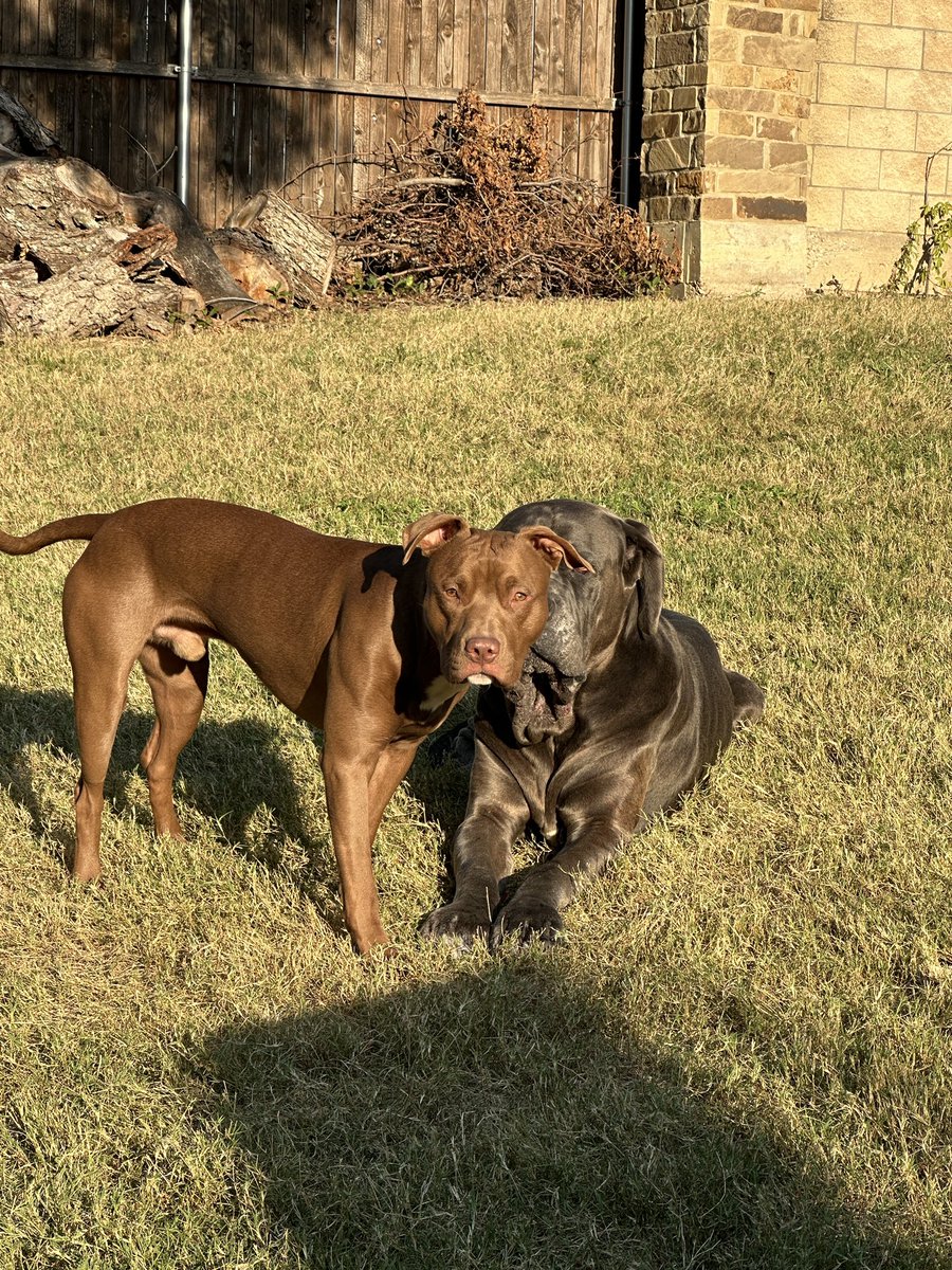 Texas Cigar Lover tweet media