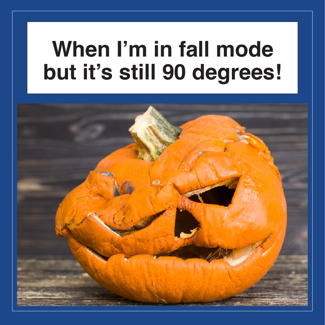 TriCity_AC's tweet image. Don't be shy! Double tap if this is you...👀

tricityair.com

#OctoberHeat
#StillSweating
#FallWho